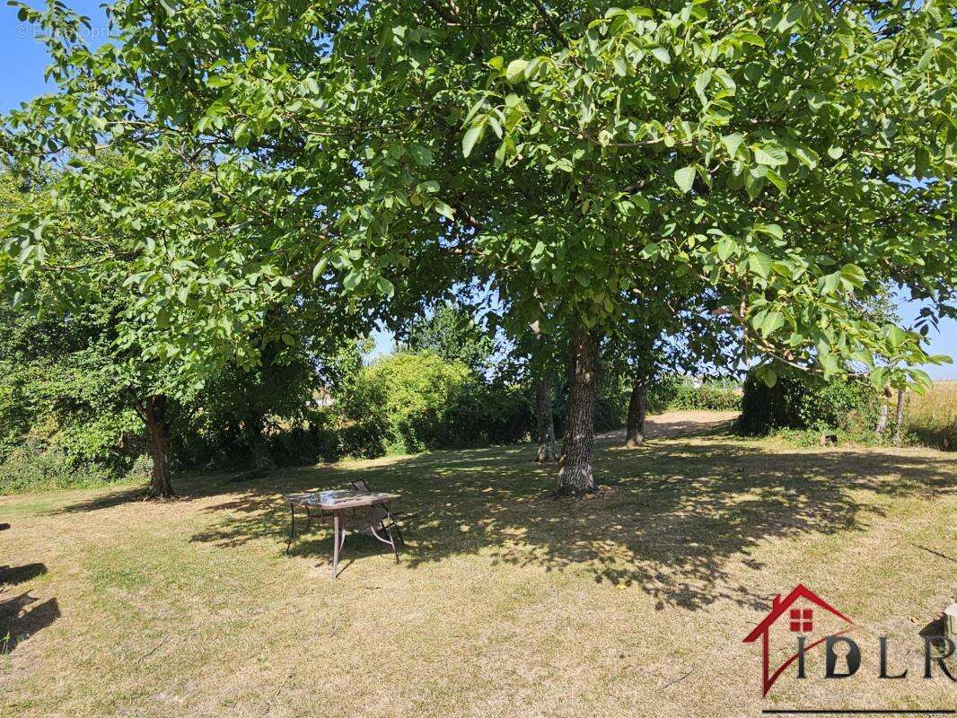 Maison 130 m² à Mertrud  - photo 4