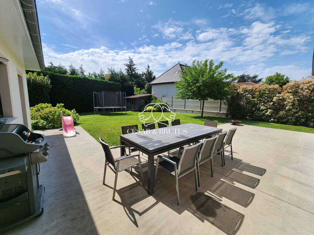 Maison 262 m² à Rillieux-La-Pape  - photo 6