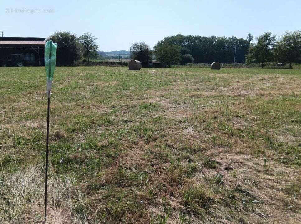 Terrain à LABASTIDE-VILLEFRANCHE