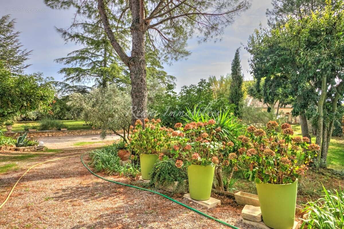 Maison à CABRIERES-D&#039;AVIGNON