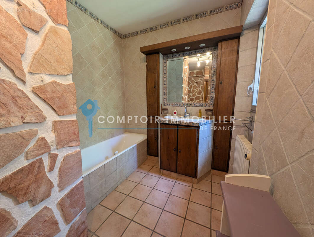 Dépt. 30 -   Mas en pierres de 220 m2 à CHAMBORIGAUD - Parcelles de 1,10 ha - photo 45