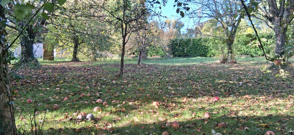 Terrain à JOUY-SUR-MORIN