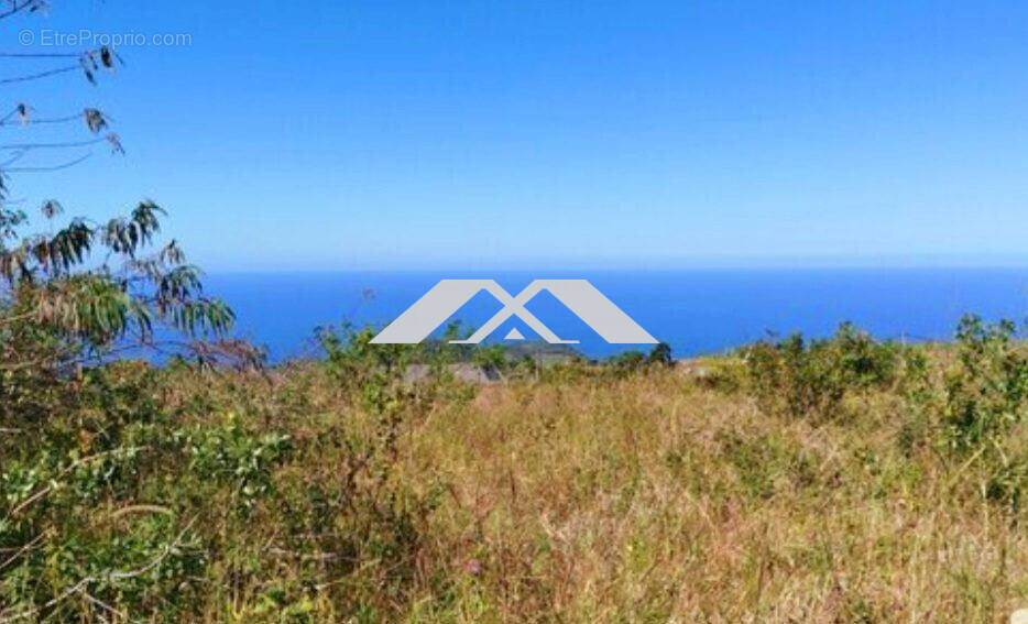 Terrain à SAINT-JOSEPH