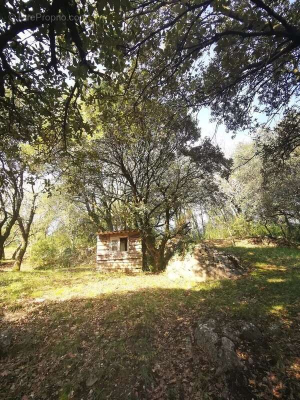 Maison à MALATAVERNE