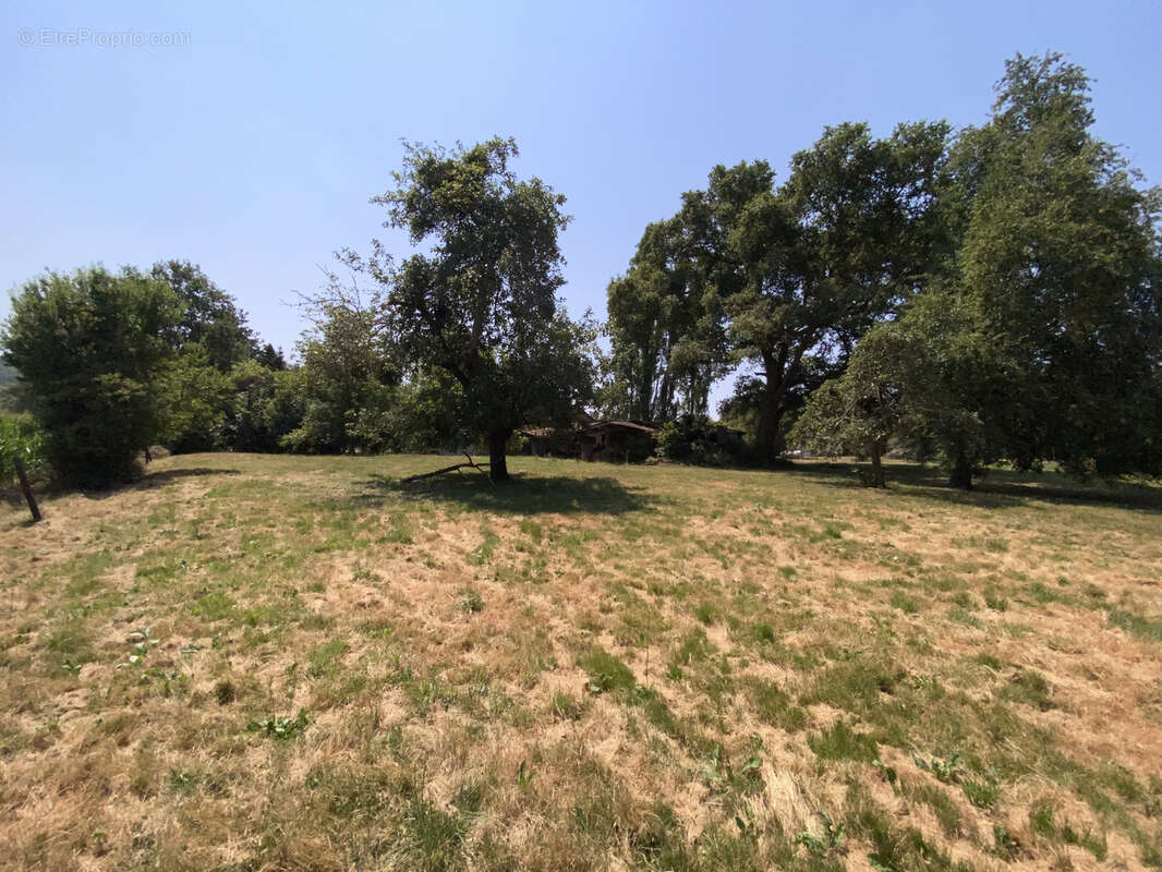 Ferme 10 hectares Monein - photo 26