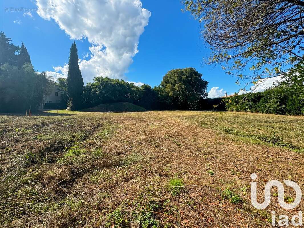 Photo 2 - Terrain à MAILLANE