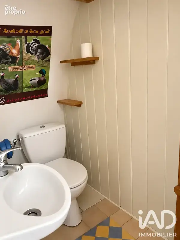 Photo 4