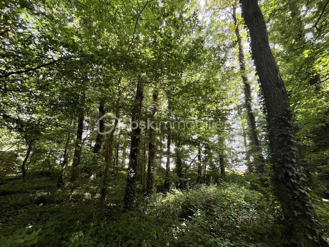 Terrain de loisirs de 5 995 m² - photo 6