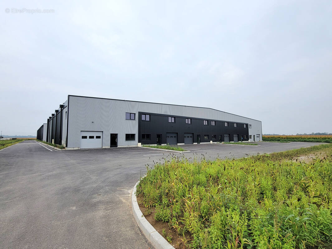 Commerce à FEGERSHEIM