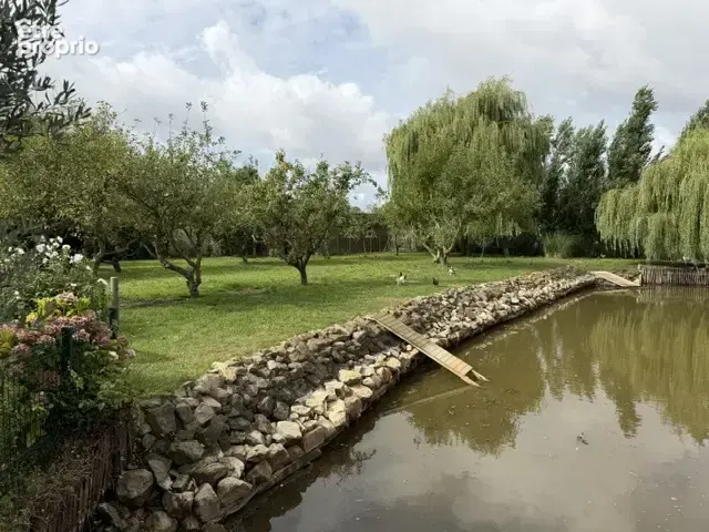 Coup de coeur pour ce pavillon en EXCLUSIVITÉ - photo 3