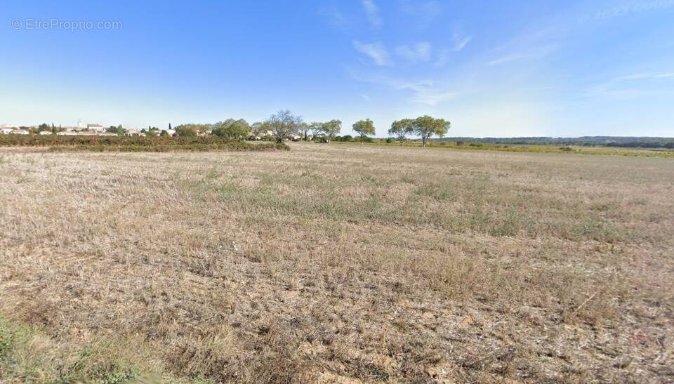 Terrain à ALIGNAN-DU-VENT