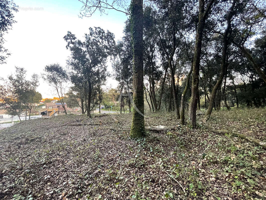 Terrain à LONGEVILLE-SUR-MER