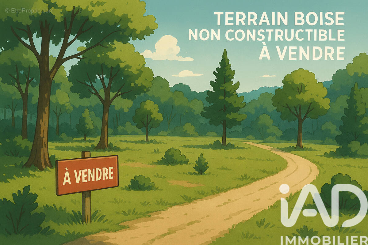 Photo 1 - Terrain à VILLENEUVE-SUR-BELLOT