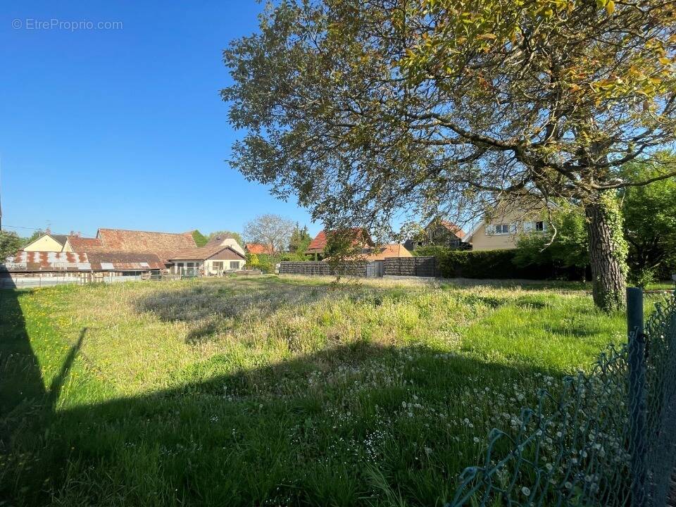 Terrain à BOOFZHEIM