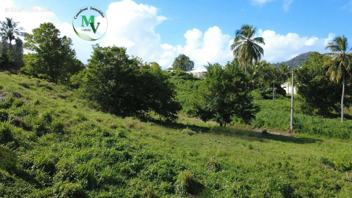 Terrain à LE VAUCLIN