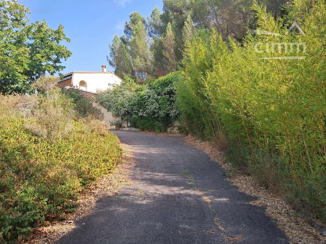 A vendre une villa sur un beau terrain boisé avec une source - photo 2