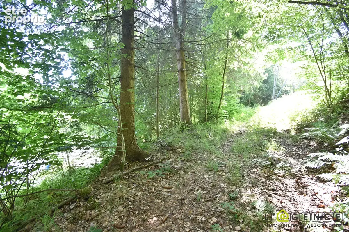 Parcelle forestière Anould 5420 m2 - photo 7
