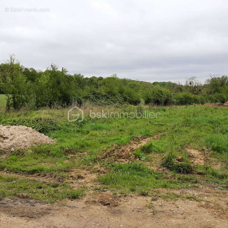 Terrain à SOIGNOLLES-EN-BRIE
