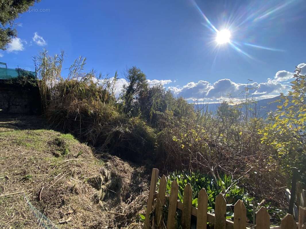 Terrain à BERRE-LES-ALPES