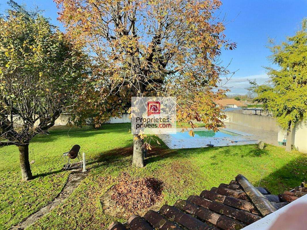 DEPT 33 - IZON - Maison 6 pièces 177 m2 avec jardin paysagé 1498m2 et piscine chauffée - photo 7