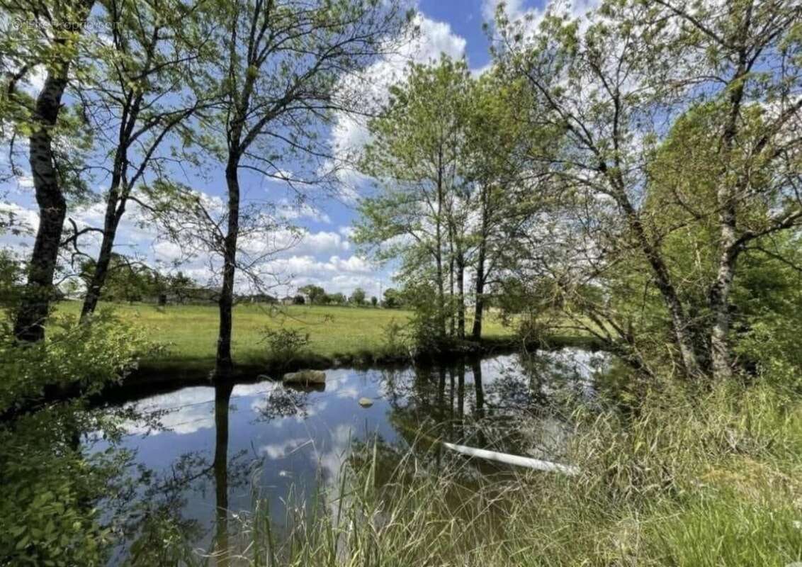 Photo 8 - Maison à VILLENEUVE-SUR-LOT