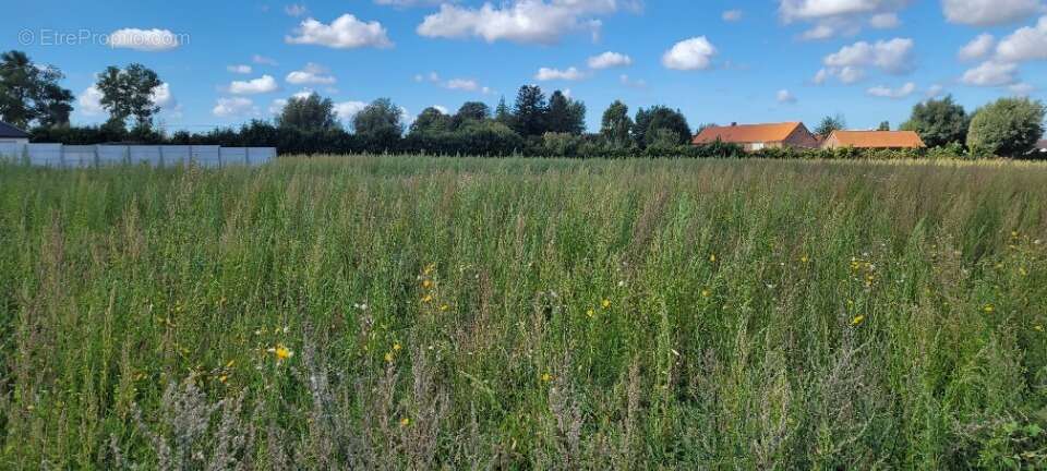 Terrain à AUDRUICQ