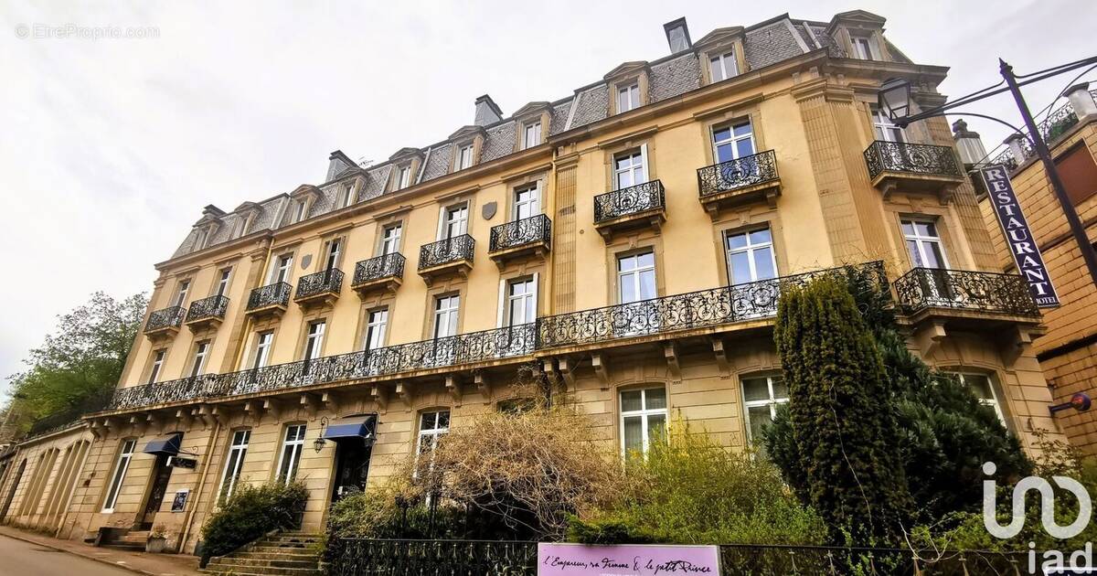 Photo 1 - Commerce à PLOMBIERES-LES-BAINS