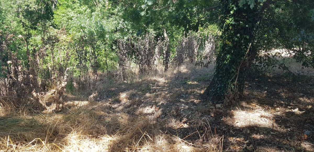 Terrain à GRANS