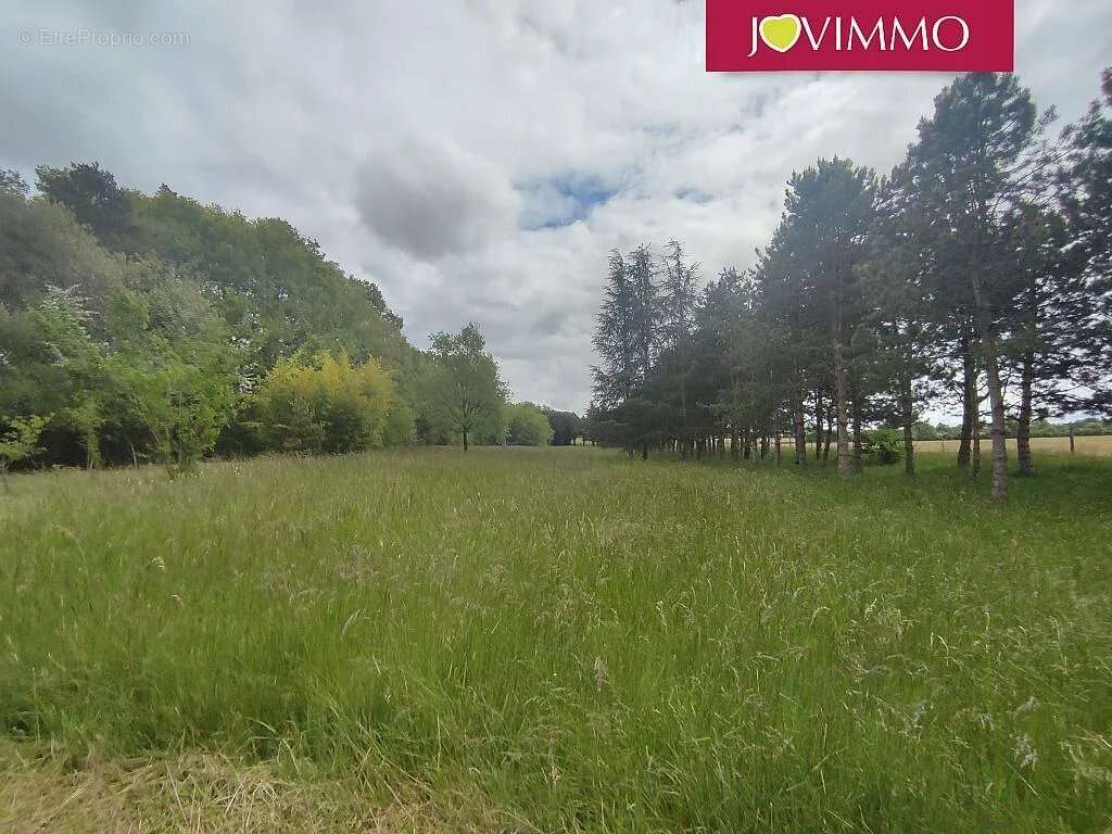 Terrain à MIGNALOUX-BEAUVOIR