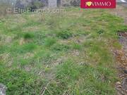 Terrain à SAINT-PIERRE-ROCHE