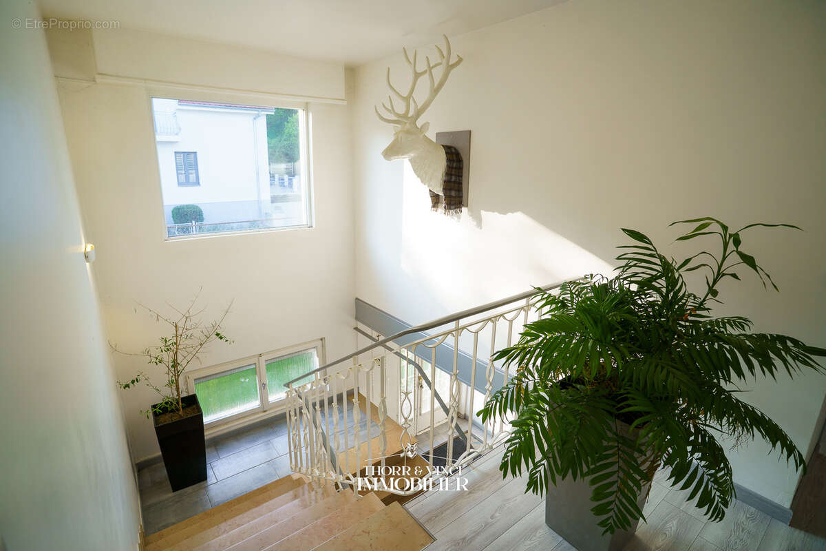 Maison à HOCHSTATT