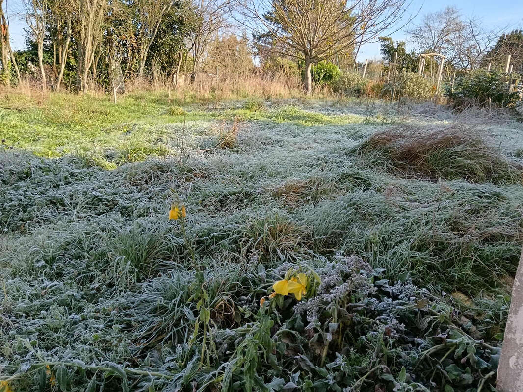 Maison à CEAUX-EN-COUHE