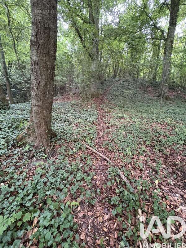 Photo 7 - Terrain à DOULLENS