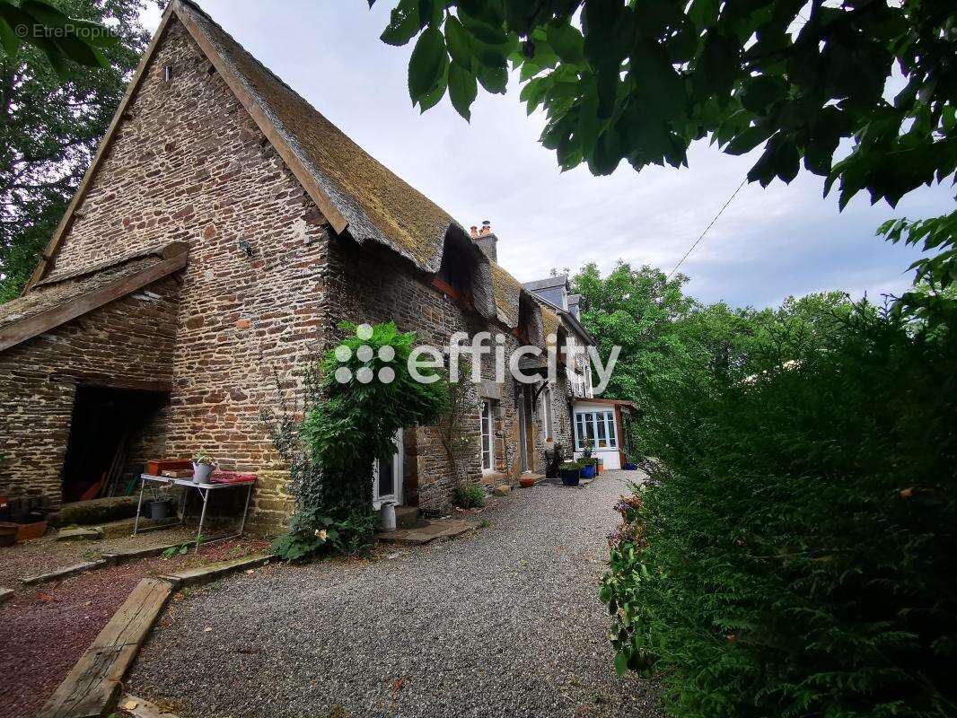 Maison 210 m² à Beauficel  - photo 9