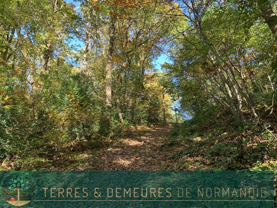 Terrain à BEUZEVILLE