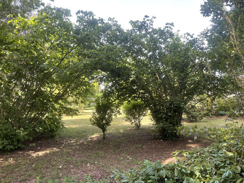Maison à ALLONNES