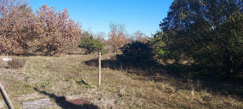 Terrain 344 m² à Vedene  - photo 5