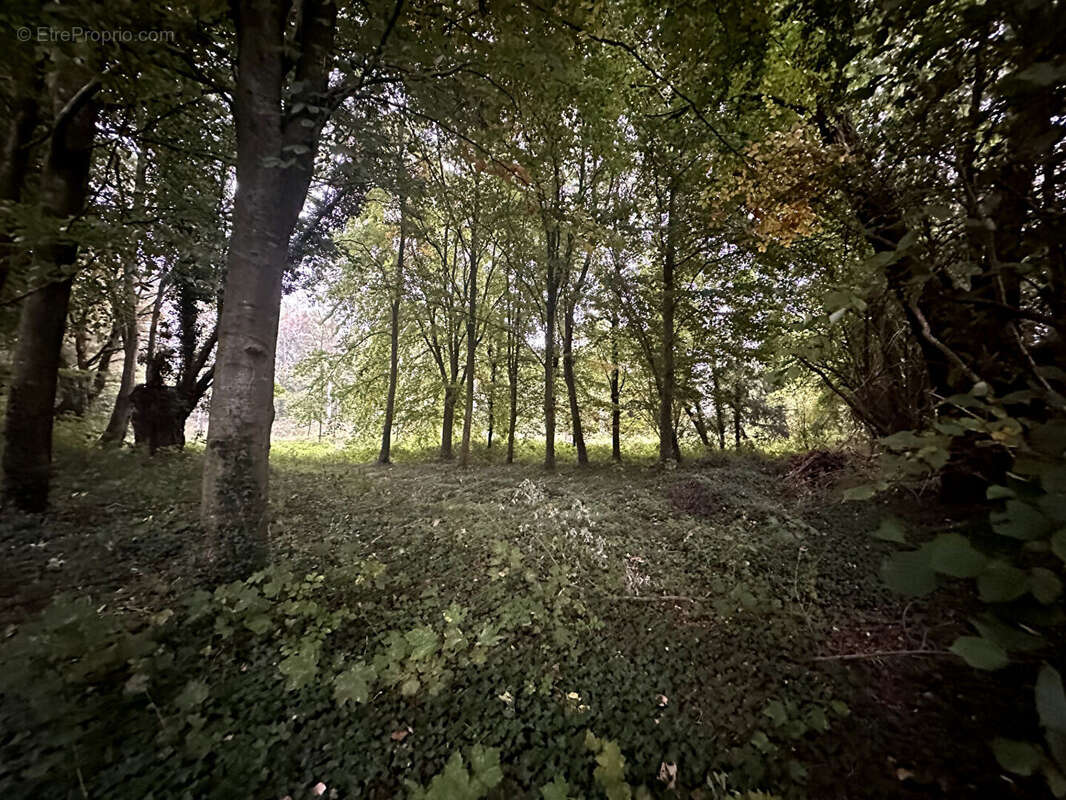 Terrain à LE FAVRIL