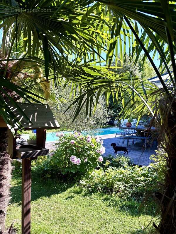 Maison à BOIS-GUILLAUME