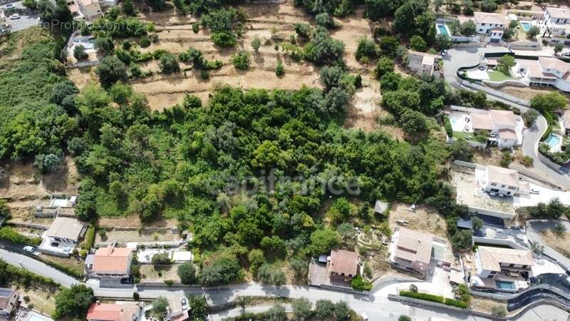 Terrains à vendre de 3160 m² FALICON (06) - photo 3