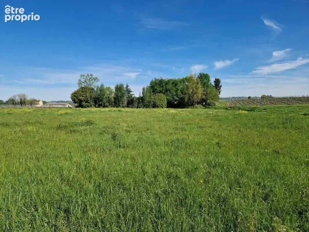 Terrain À Vendre 1388m2 - photo 2