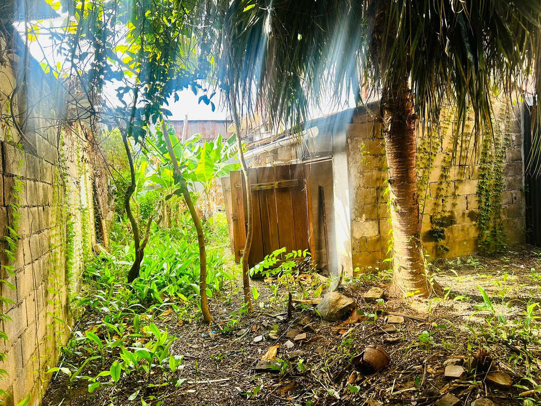 Maison à CAYENNE