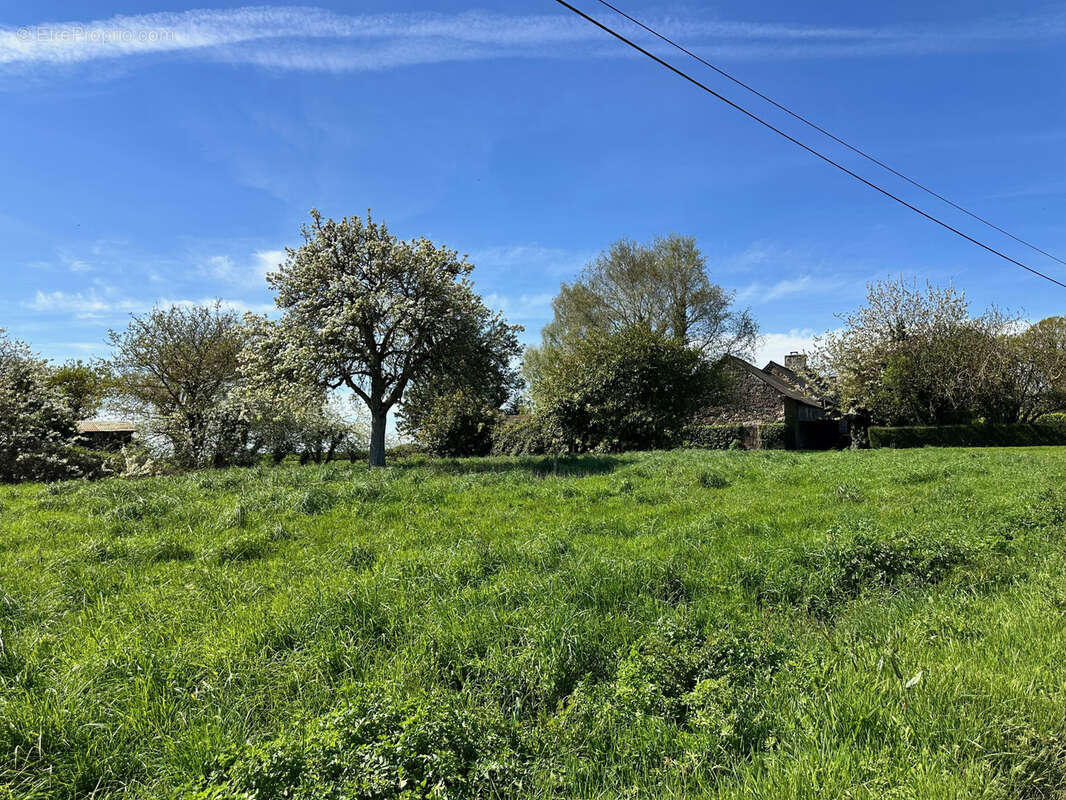 Maison à HENANBIHEN