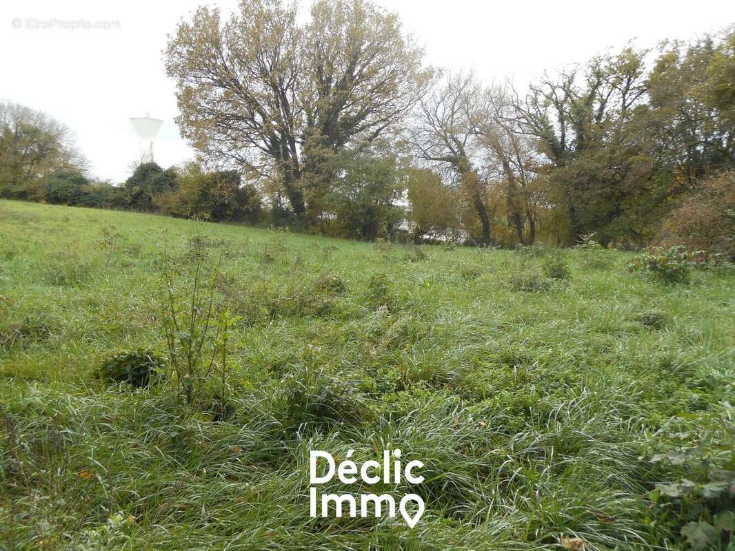 Terrain à PONT-L&#039;ABBE-D&#039;ARNOULT