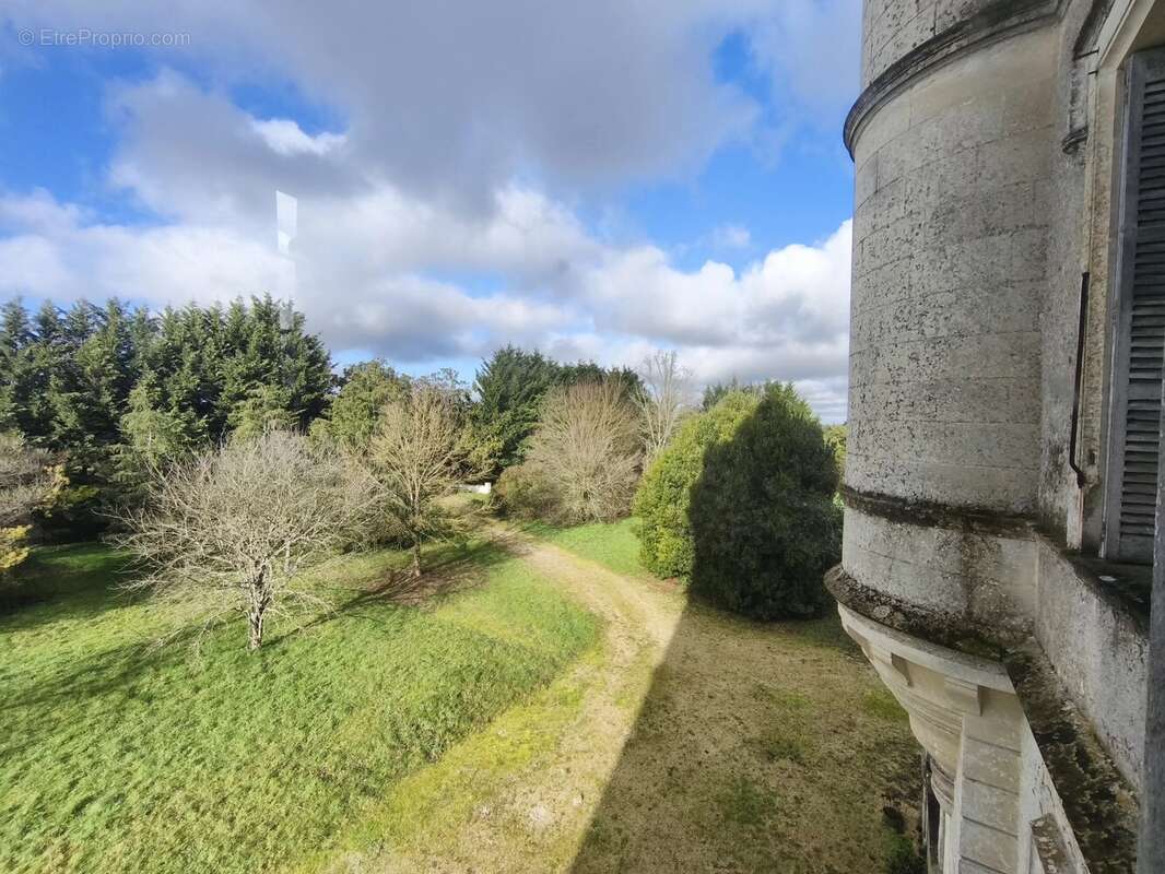 Élégant Château du XIXe siècle avec parc, piscine et maisons d’amis - photo 14