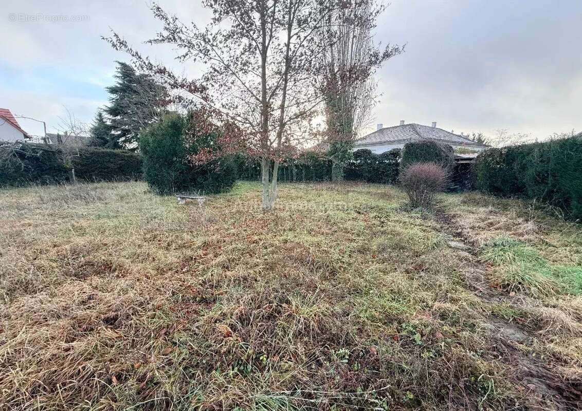 Terrain à COLMAR