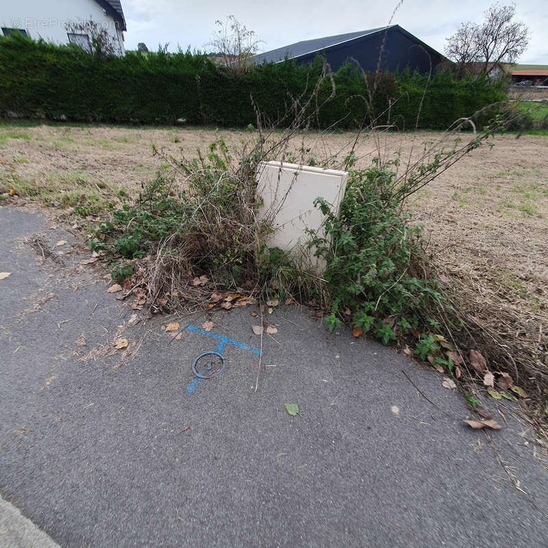 Terrain à RANTZWILLER