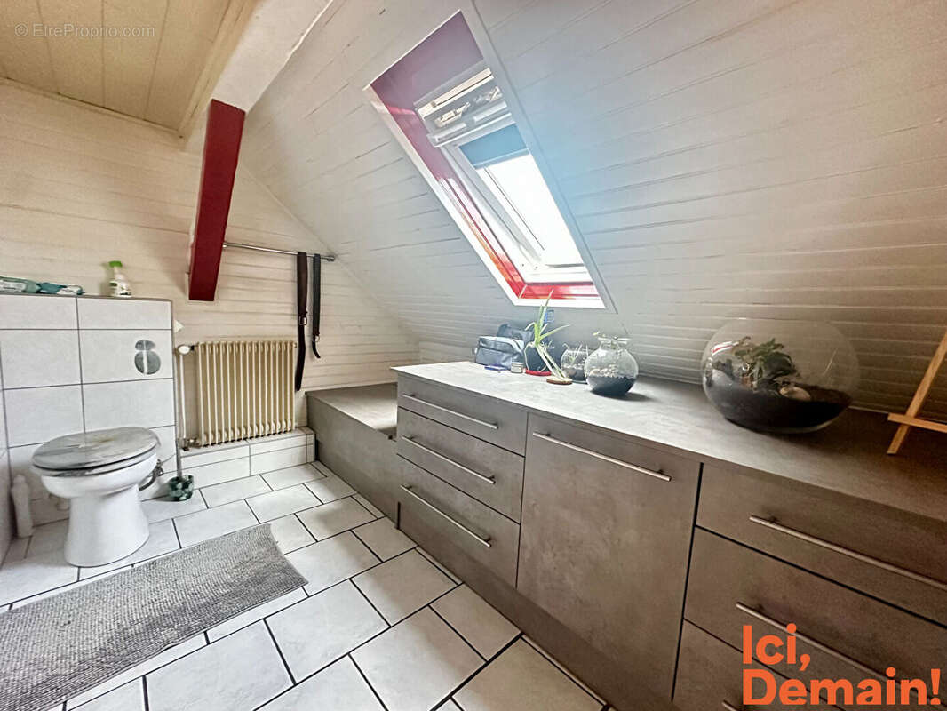 Maison d'exception à vendre à Daubensand - 8 pièces, piscine, calme absolu - photo 12