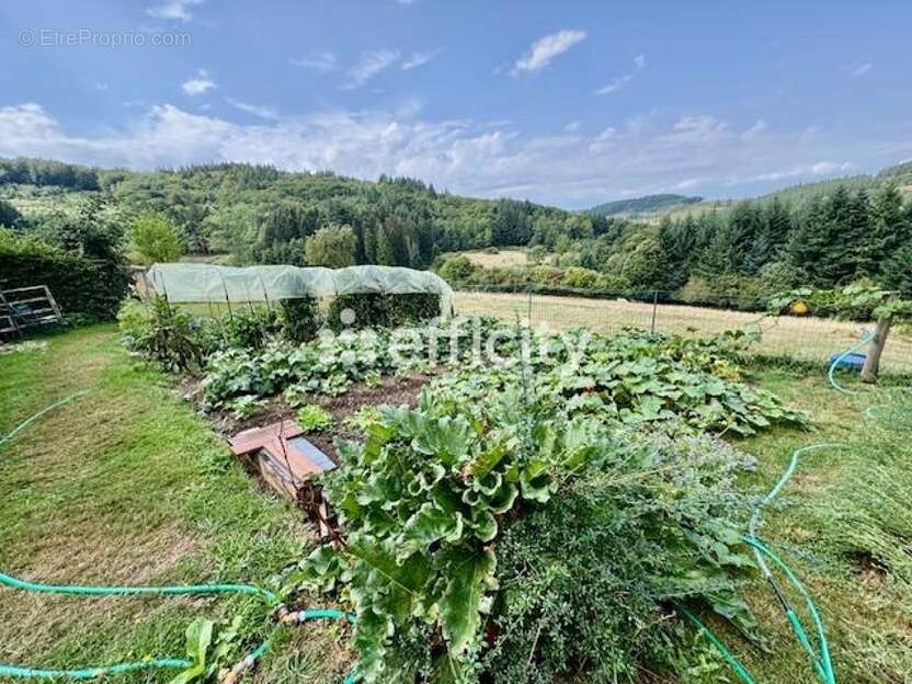 Maison à SAINT-REMY-SUR-DUROLLE