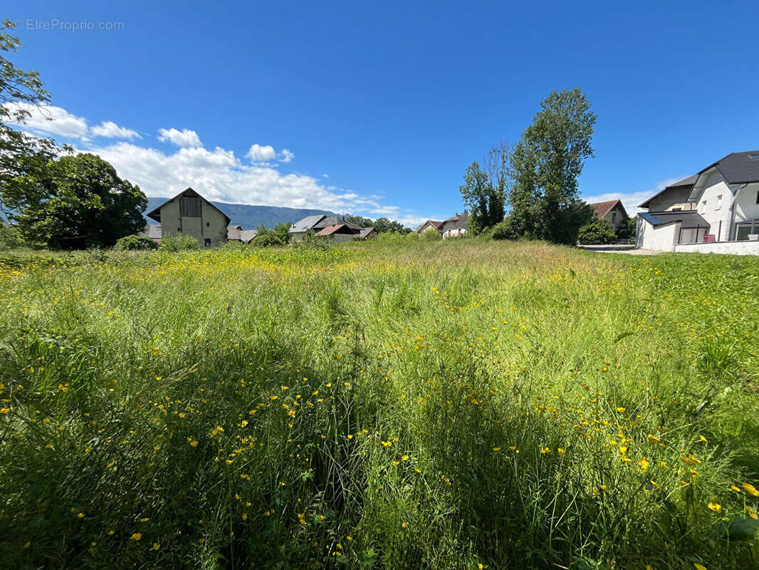 Terrain à MERY